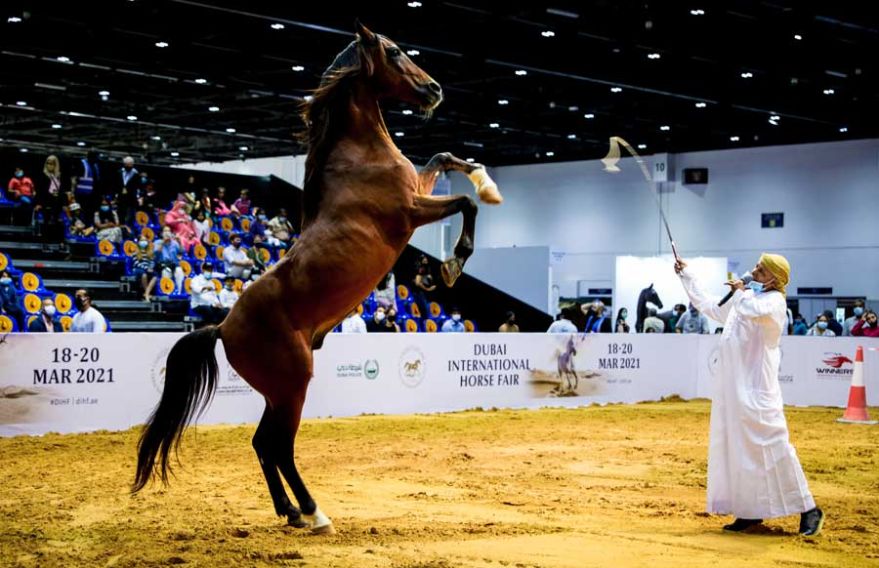 Horse race